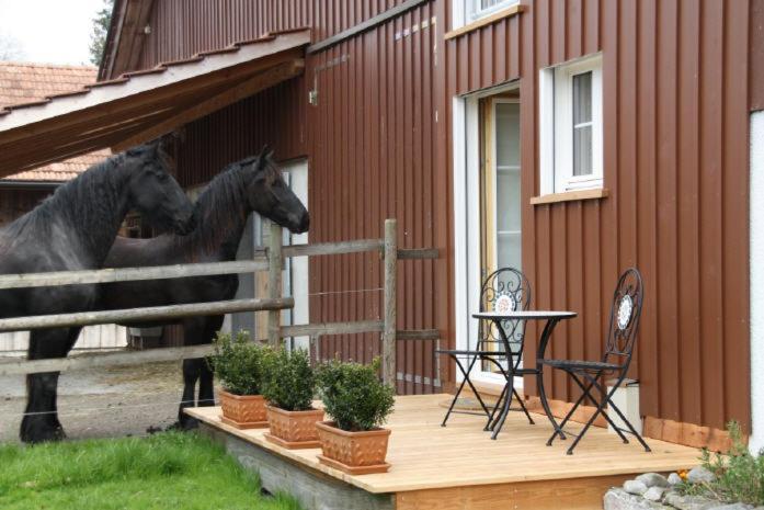 Bnb Haag Bagian luar foto